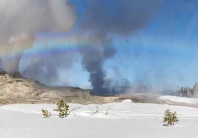 A geyser emits steam in a snowy landscape, with a rainbow visible in the mist and a clear blue sky above—an inspiring scene from the Yellowstone employee photo contest.